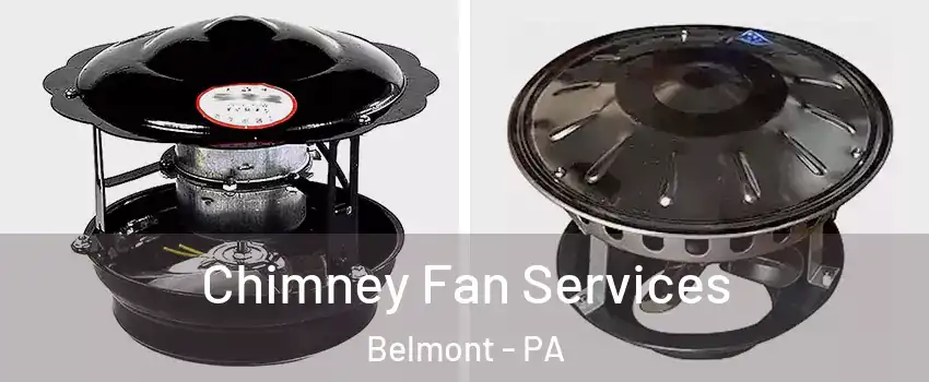 Chimney Fan Services Belmont - PA