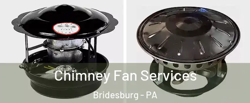 Chimney Fan Services Bridesburg - PA