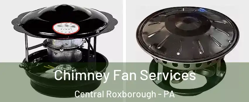 Chimney Fan Services Central Roxborough - PA
