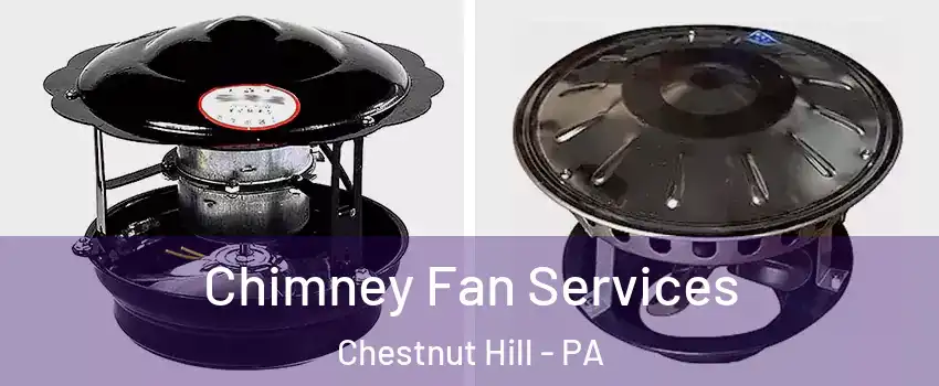 Chimney Fan Services Chestnut Hill - PA