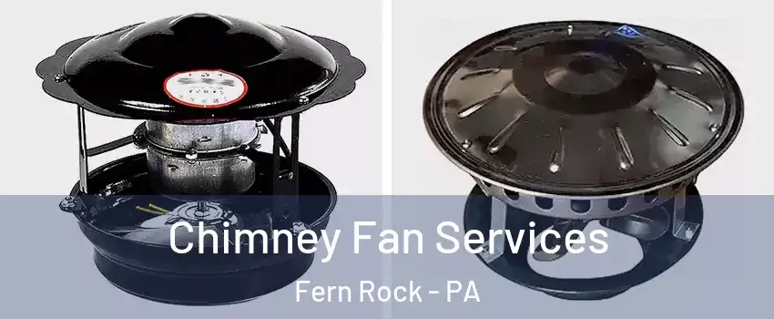 Chimney Fan Services Fern Rock - PA