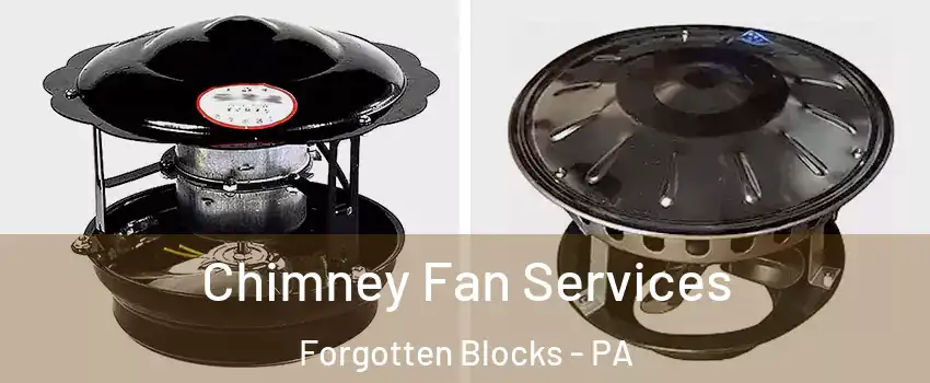 Chimney Fan Services Forgotten Blocks - PA