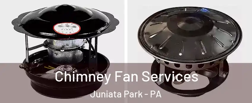 Chimney Fan Services Juniata Park - PA