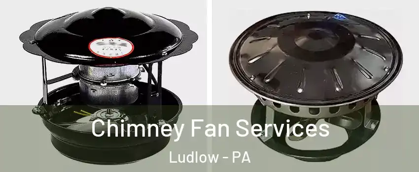 Chimney Fan Services Ludlow - PA