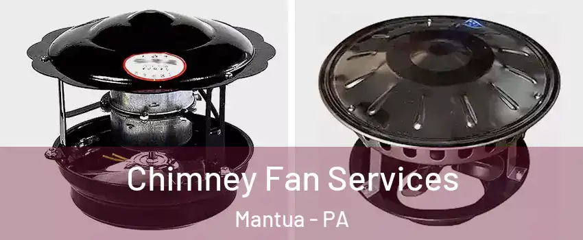 Chimney Fan Services Mantua - PA