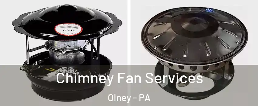 Chimney Fan Services Olney - PA