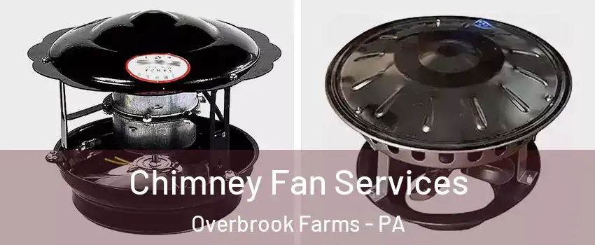 Chimney Fan Services Overbrook Farms - PA