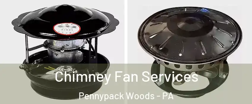 Chimney Fan Services Pennypack Woods - PA