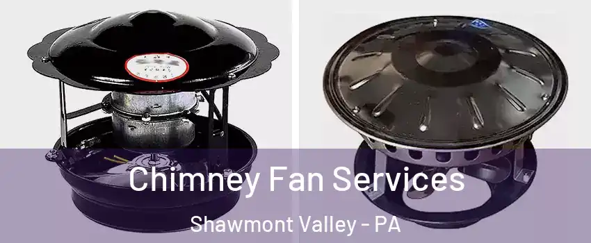 Chimney Fan Services Shawmont Valley - PA