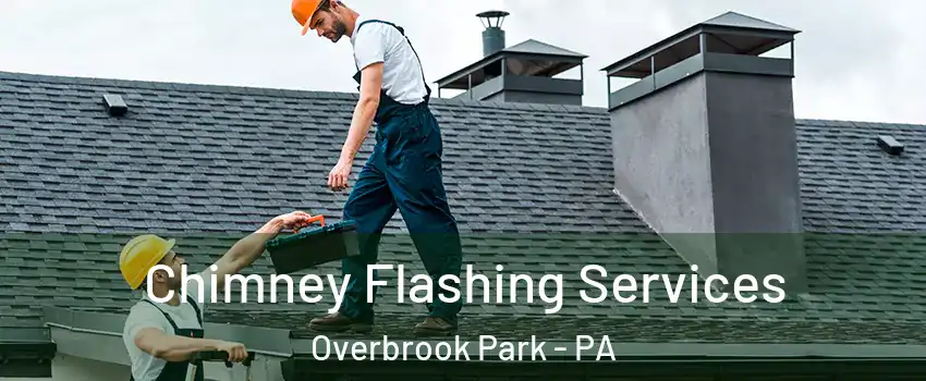 Chimney Flashing Services Overbrook Park - PA
