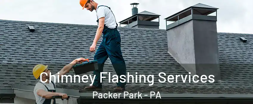 Chimney Flashing Services Packer Park - PA