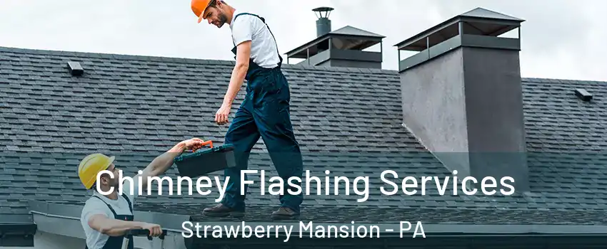 Chimney Flashing Services Strawberry Mansion - PA