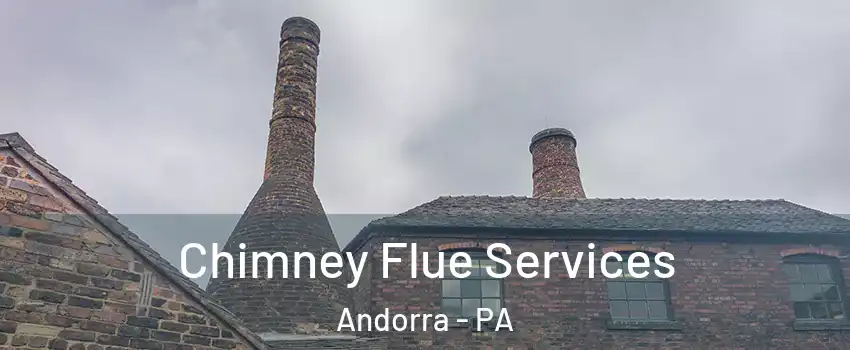 Chimney Flue Services Andorra - PA