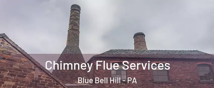 Chimney Flue Services Blue Bell Hill - PA