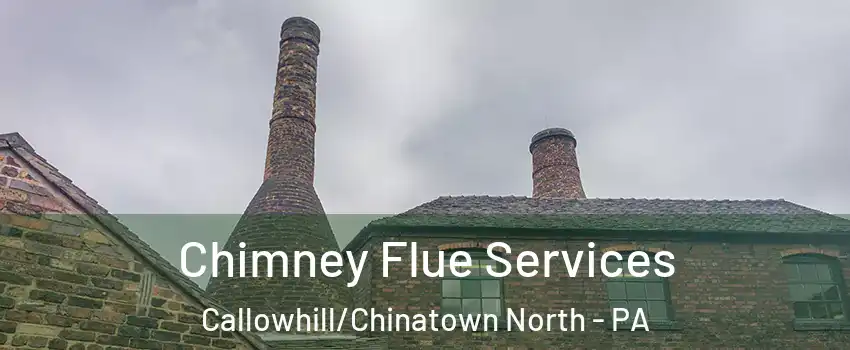Chimney Flue Services Callowhill/Chinatown North - PA