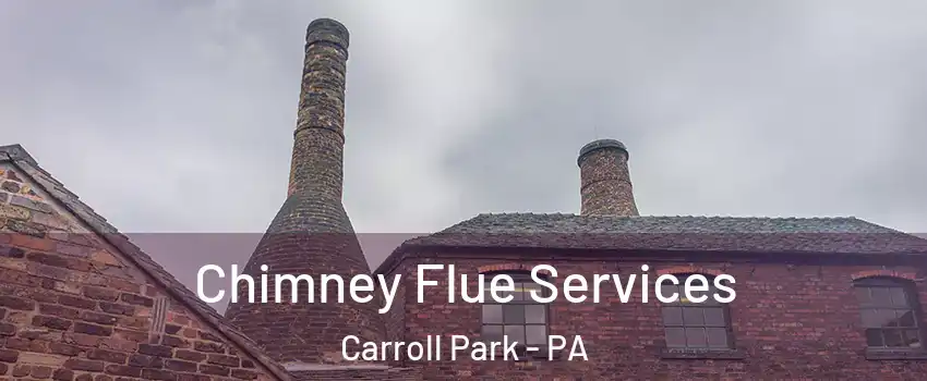 Chimney Flue Services Carroll Park - PA