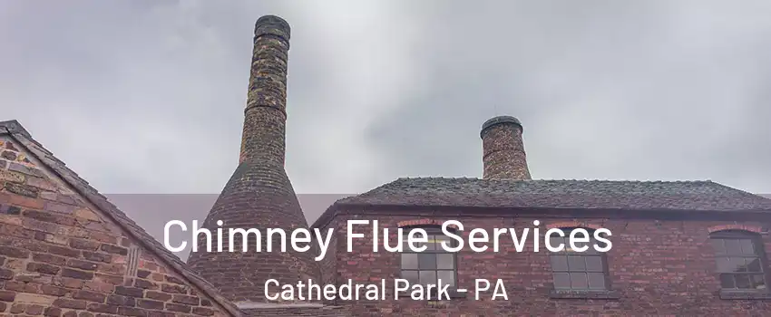 Chimney Flue Services Cathedral Park - PA