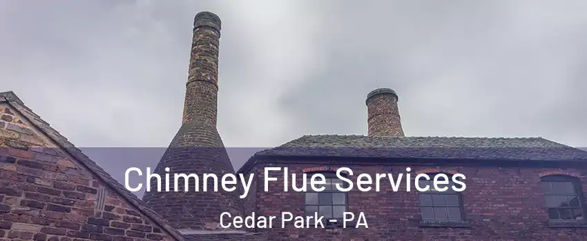 Chimney Flue Services Cedar Park - PA