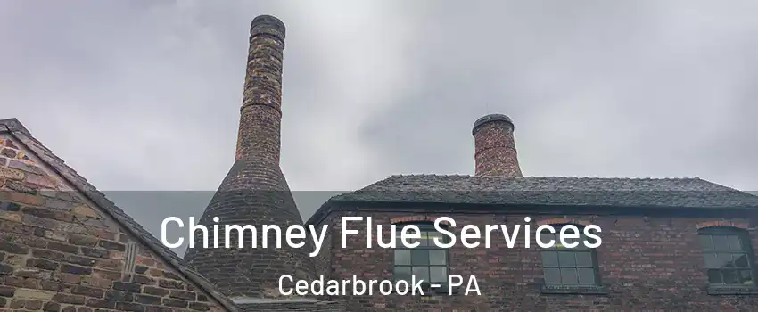 Chimney Flue Services Cedarbrook - PA