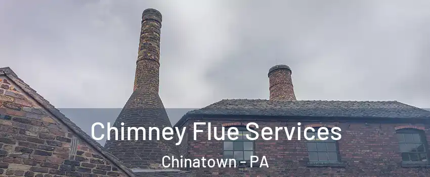 Chimney Flue Services Chinatown - PA