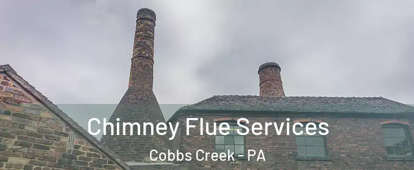 Chimney Flue Services Cobbs Creek - PA