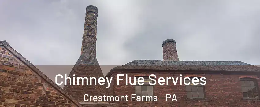 Chimney Flue Services Crestmont Farms - PA