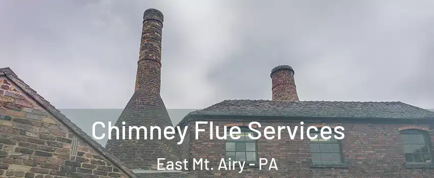 Chimney Flue Services East Mt. Airy - PA