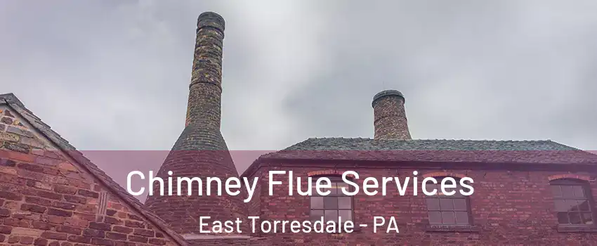 Chimney Flue Services East Torresdale - PA