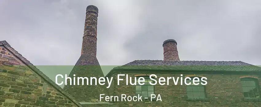 Chimney Flue Services Fern Rock - PA