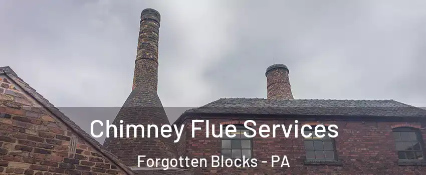 Chimney Flue Services Forgotten Blocks - PA