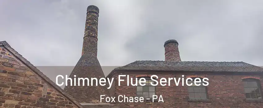 Chimney Flue Services Fox Chase - PA