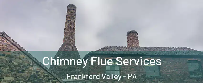 Chimney Flue Services Frankford Valley - PA