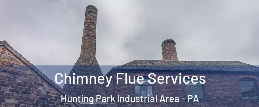 Chimney Flue Services Hunting Park Industrial Area - PA