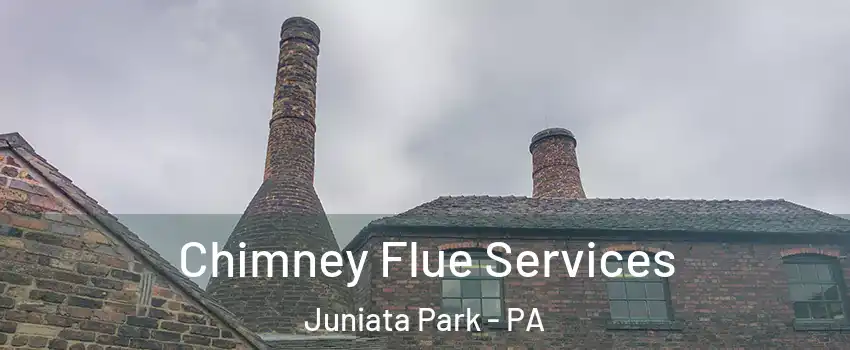 Chimney Flue Services Juniata Park - PA