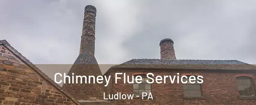 Chimney Flue Services Ludlow - PA