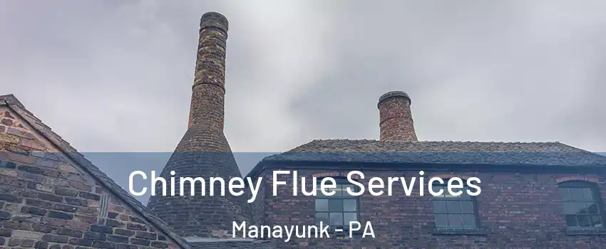Chimney Flue Services Manayunk - PA