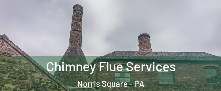 Chimney Flue Services Norris Square - PA