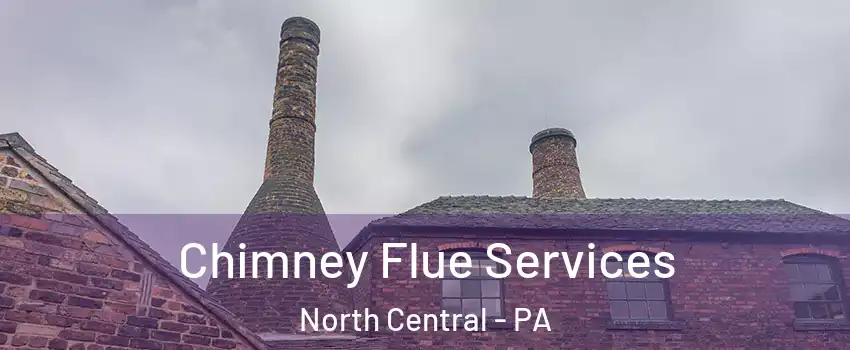 Chimney Flue Services North Central - PA