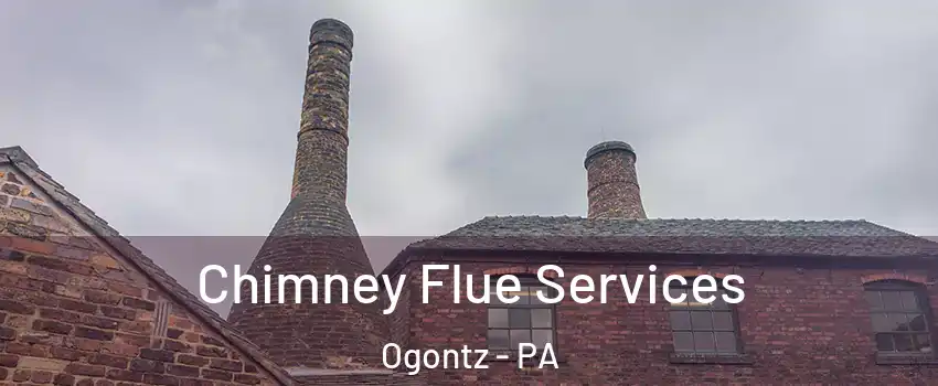 Chimney Flue Services Ogontz - PA