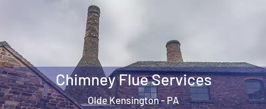 Chimney Flue Services Olde Kensington - PA