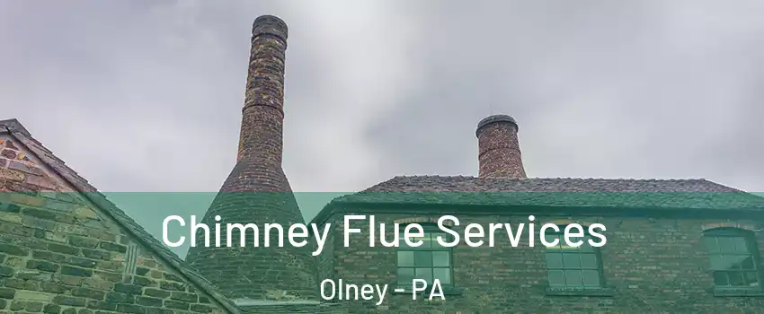 Chimney Flue Services Olney - PA