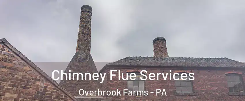 Chimney Flue Services Overbrook Farms - PA
