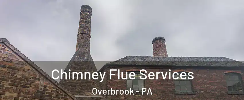 Chimney Flue Services Overbrook - PA