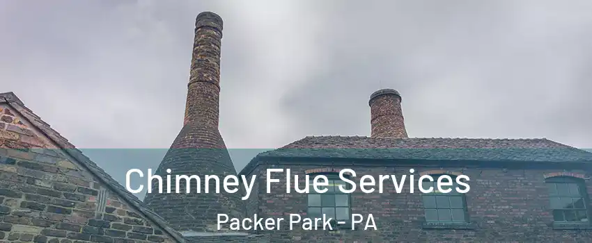 Chimney Flue Services Packer Park - PA