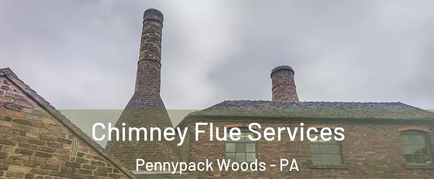 Chimney Flue Services Pennypack Woods - PA