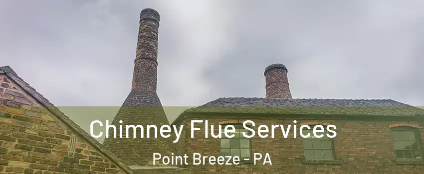 Chimney Flue Services Point Breeze - PA