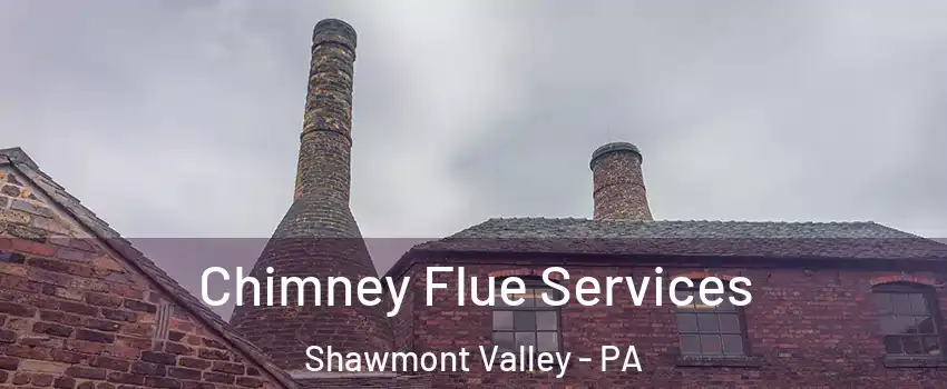 Chimney Flue Services Shawmont Valley - PA