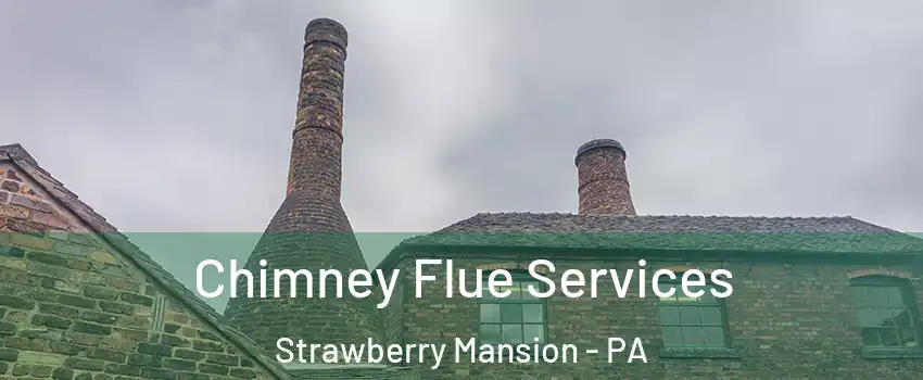Chimney Flue Services Strawberry Mansion - PA