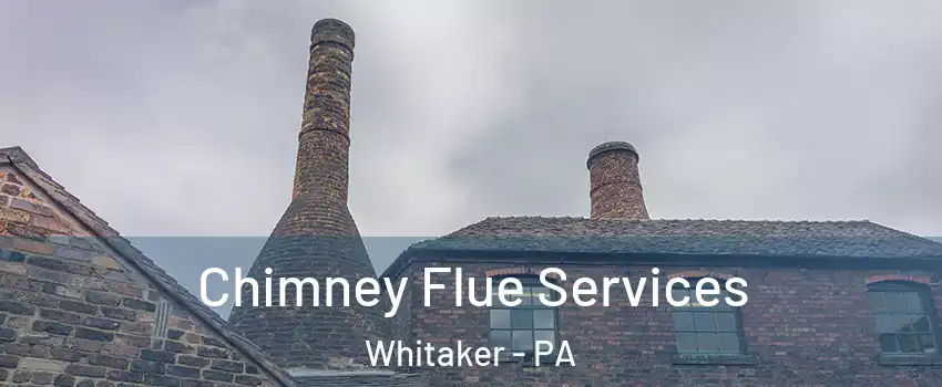 Chimney Flue Services Whitaker - PA