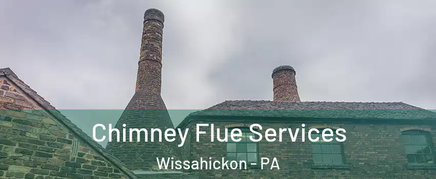 Chimney Flue Services Wissahickon - PA